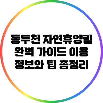 동두천 자연휴양림 완벽 가이드: 이용 정보와 팁 총정리