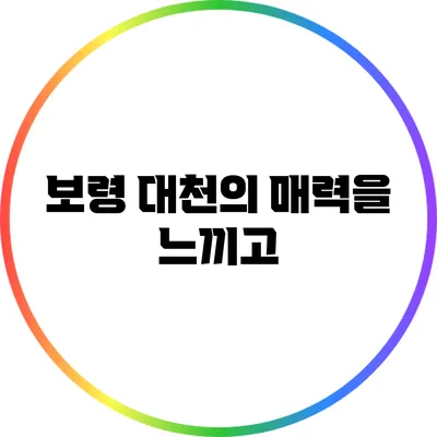 보령 대천의 매력을 느끼고
