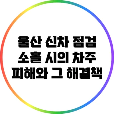 울산 신차 점검 소홀 시의 차주 피해와 그 해결책