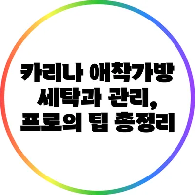 카리나 애착가방 세탁과 관리, 프로의 팁 총정리