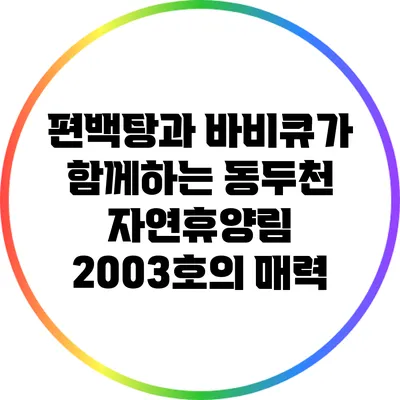 편백탕과 바비큐가 함께하는 동두천 자연휴양림 2003호의 매력