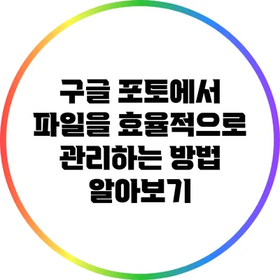 구글 포토에서 파일을 효율적으로 관리하는 방법 알아보기