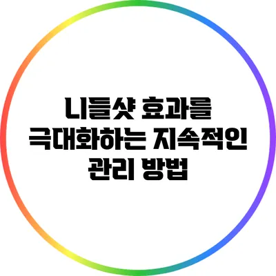 니들샷 효과를 극대화하는 지속적인 관리 방법