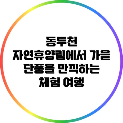 동두천 자연휴양림에서 가을 단풍을 만끽하는 체험 여행