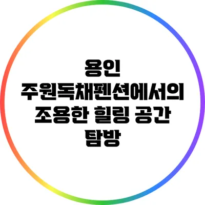 용인 주원독채펜션에서의 조용한 힐링 공간 탐방