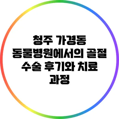 청주 가경동 동물병원에서의 골절 수술 후기와 치료 과정