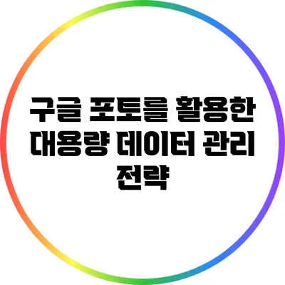 구글 포토를 활용한 대용량 데이터 관리 전략
