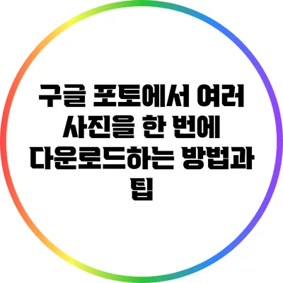 구글 포토에서 여러 사진을 한 번에 다운로드하는 방법과 팁