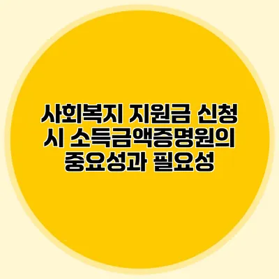 사회복지 지원금 신청 시 소득금액증명원의 중요성과 필요성