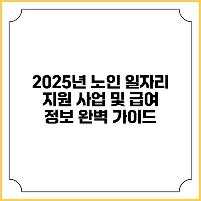2025년 노인 일자리 지원 사업 및 급여 정보 완벽 가이드