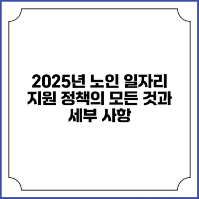 2025년 노인 일자리 지원 정책의 모든 것과 세부 사항