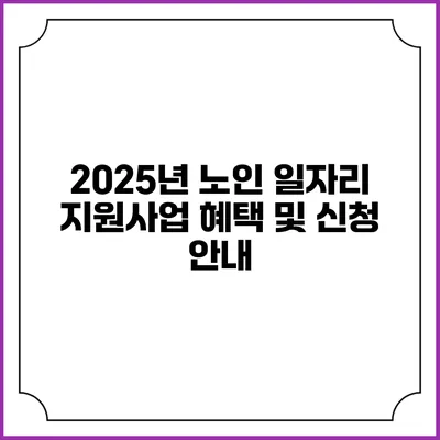 2025년 노인 일자리 지원사업: 혜택 및 신청 안내