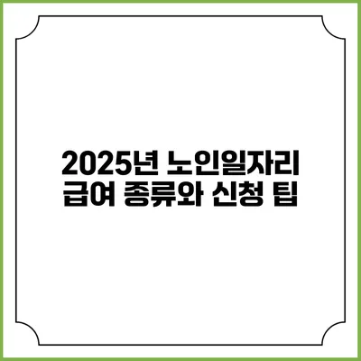 2025년 노인일자리 급여 종류와 신청 팁