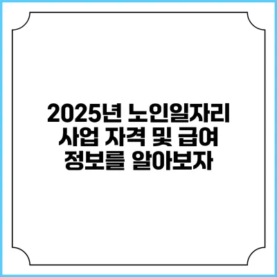 2025년 노인일자리 사업 자격 및 급여 정보를 알아보자