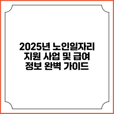 2025년 노인일자리 지원 사업 및 급여 정보 완벽 가이드