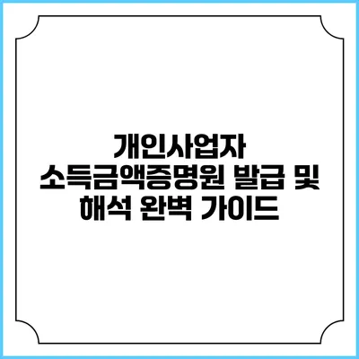 개인사업자 소득금액증명원 발급 및 해석 완벽 가이드