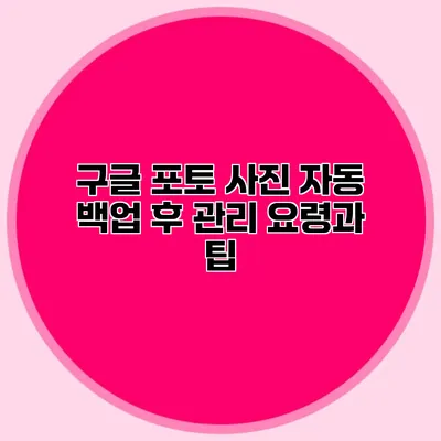 구글 포토 사진 자동 백업 후 관리 요령과 팁