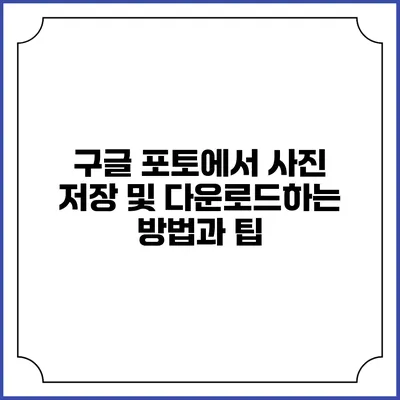 구글 포토에서 사진 저장 및 다운로드하는 방법과 팁