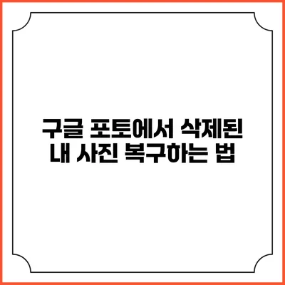 구글 포토에서 삭제된 내 사진 복구하는 법