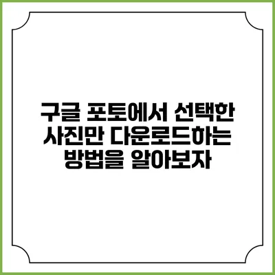 구글 포토에서 선택한 사진만 다운로드하는 방법을 알아보자