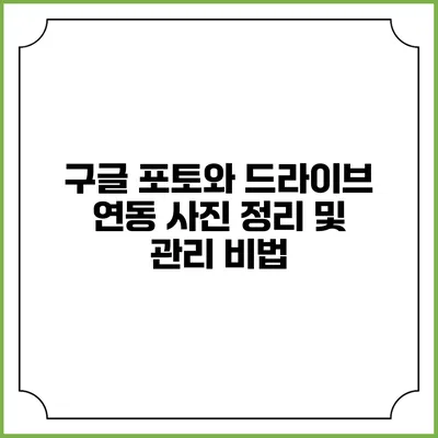 구글 포토와 드라이브 연동: 사진 정리 및 관리 비법