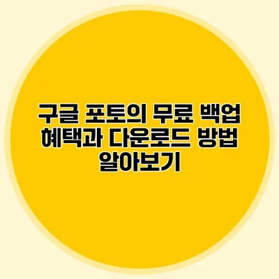 구글 포토의 무료 백업 혜택과 다운로드 방법 알아보기