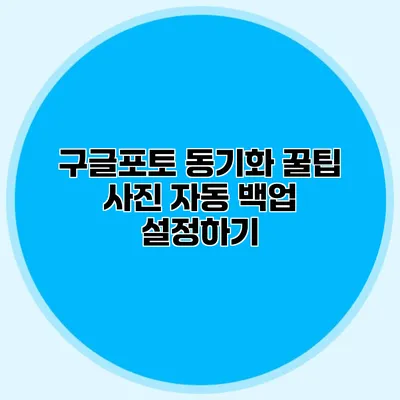 구글포토 동기화 꿀팁: 사진 자동 백업 설정하기