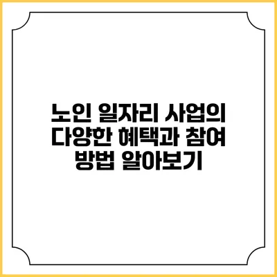 노인 일자리 사업의 다양한 혜택과 참여 방법 알아보기