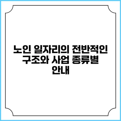 노인 일자리의 전반적인 구조와 사업 종류별 안내