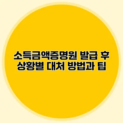 소득금액증명원 발급 후 상황별 대처 방법과 팁