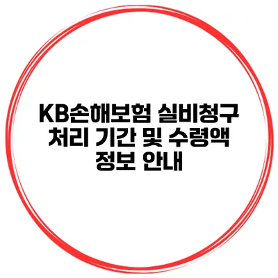 KB손해보험 실비청구 처리 기간 및 수령액 정보 안내