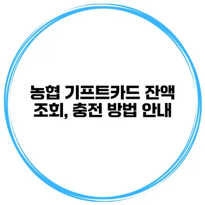 농협 기프트카드 잔액 조회, 충전 방법 안내