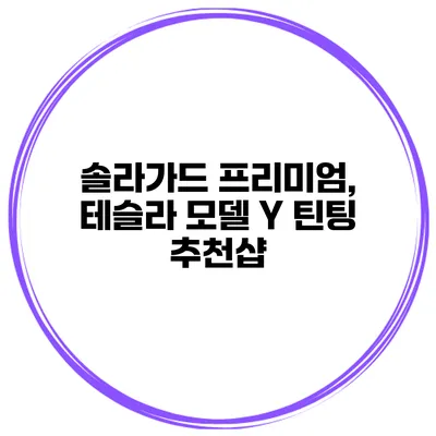 솔라가드 프리미엄, 테슬라 모델 Y 틴팅 추천샵