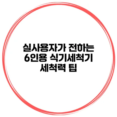 실사용자가 전하는 6인용 식기세척기 세척력 팁