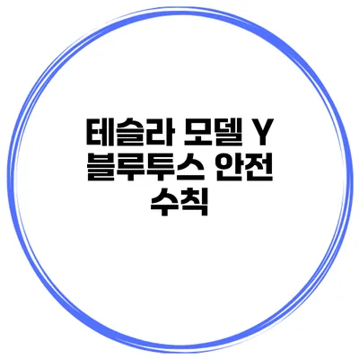 테슬라 모델 Y 블루투스 안전 수칙